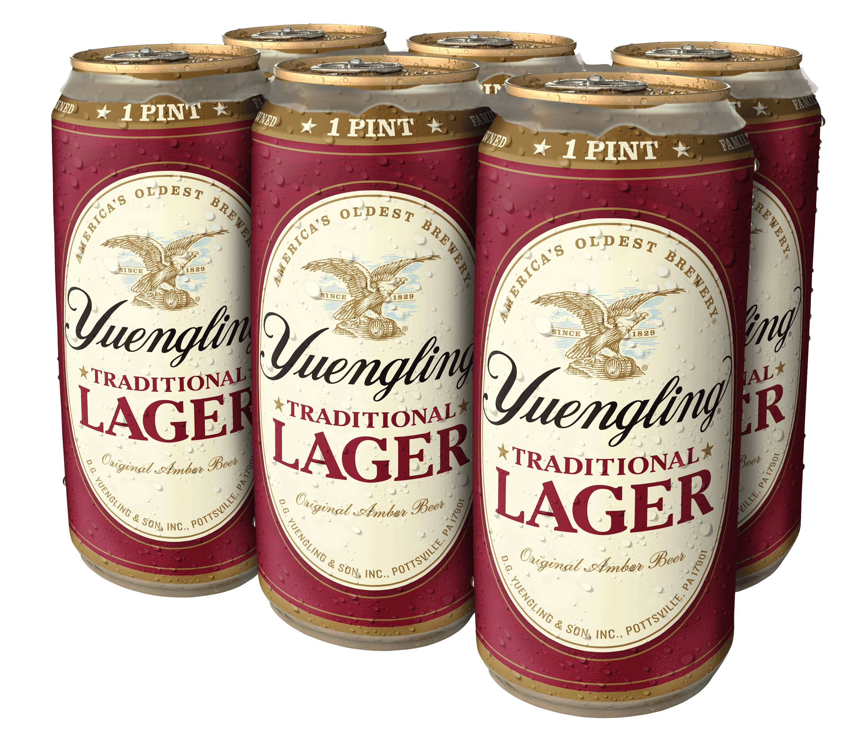 YUENGLING 16 FL.OZ 6 C