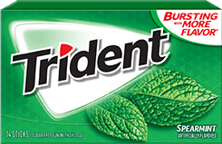 TRIDENT VALUE PACK SPEARMINT